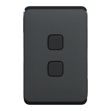 Clipsal Iconic 2 Gang Switch Plate - Skin Only 5 Finishes - Image 4
