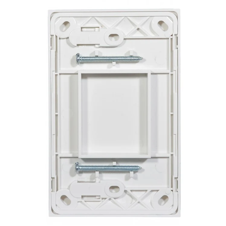 Clouded Leopard Blank Switch Plate - Image 2